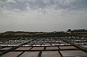 Kanary_2010 196